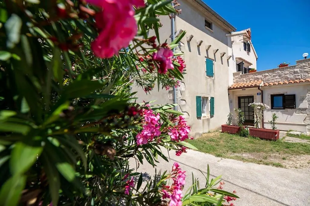 Daire Apartman Luka Krnica